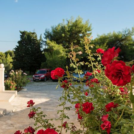 Sun House Apartments Bol Bagian luar foto